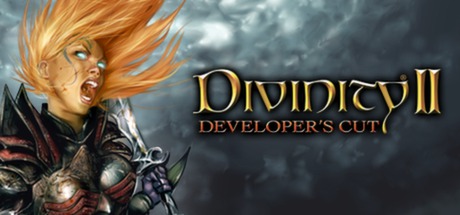 Divinity II: Developer`s Cut