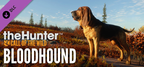 6919-thehunter-call-of-the-wild-bloodhound-profile_1