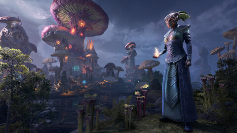 10550-the-elder-scrolls-online-gallery-4_1