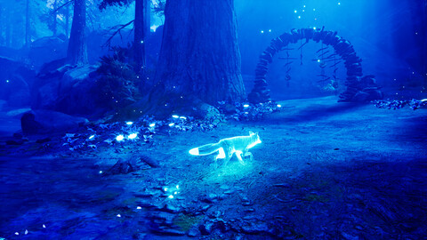 10559-spirit-of-the-north-10