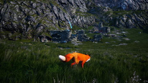 10559-spirit-of-the-north-5