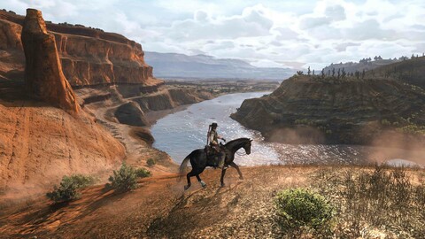 10590-red-dead-redemption-steam-wallet-3