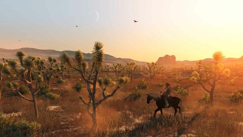 10590-red-dead-redemption-steam-wallet-4
