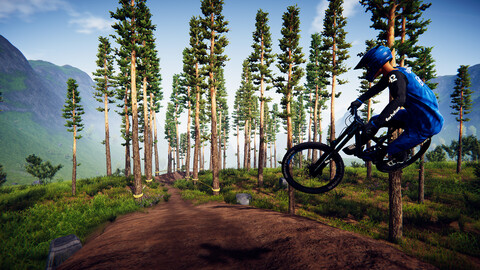 10613-descenders-1