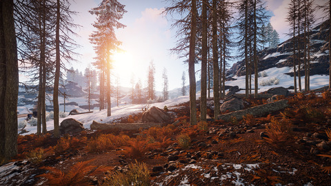 10635-rust-kredit-11