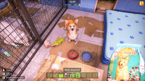 10675-animal-shelter-2-gallery-2_1