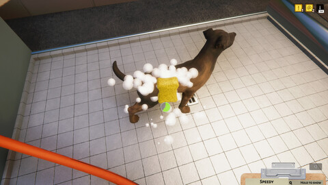 10676-animal-shelter-gallery-1_1
