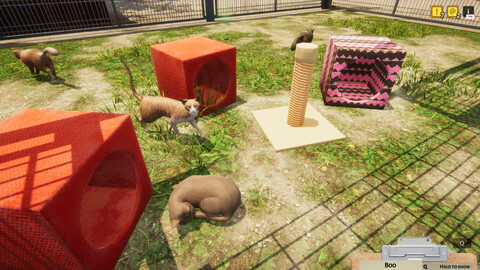 10676-animal-shelter-gallery-3_1