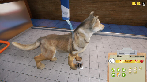 10676-animal-shelter-gallery-8_1