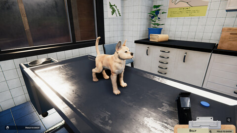 10677-animal-shelter-puppies-kittens-gallery-8_1