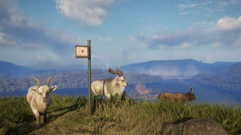 10751-thehunter-call-of-the-wild-game-feeder-pack-2-gallery-4_1