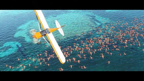 10771-microsoft-flight-simulator-standard-40th-anniversary-edition-8