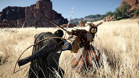 10814-crimson-desert-5
