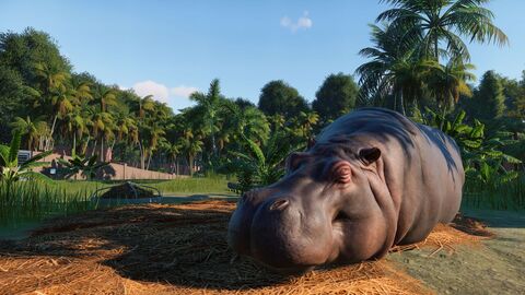 10819-planet-zoo-ultimate-edition-2025-6