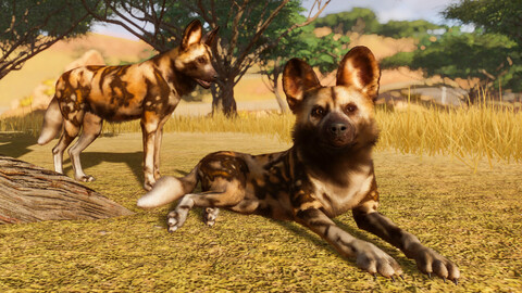 10819-planet-zoo-ultimate-edition-2025-9