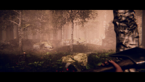 10832-project-songbird-gallery-2_1