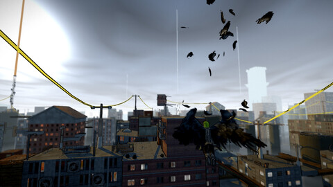 10836-crow-gallery-8_1