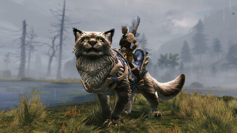 10839-guild-wars-2-janthir-wilds-5