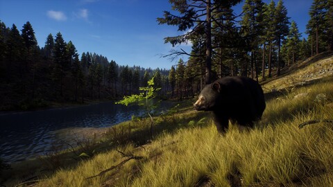 10845-way-of-the-hunter-elite-edition-10