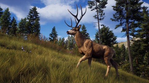 10845-way-of-the-hunter-elite-edition-11