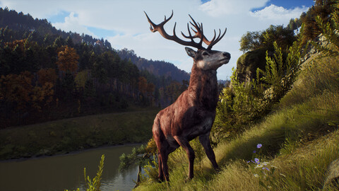 10845-way-of-the-hunter-elite-edition-2