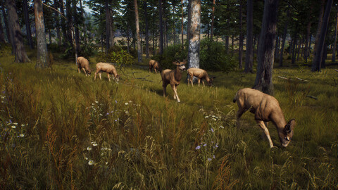 10845-way-of-the-hunter-elite-edition-9