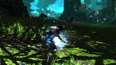 10969-kingdoms-of-amalur-re-reckoning-7