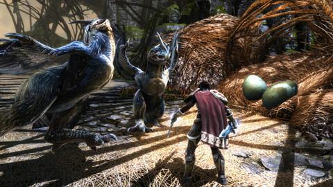 10969-kingdoms-of-amalur-re-reckoning-9