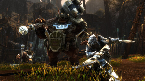 10970-kingdoms-of-amalur-re-reckoning-nintendo-switch-2