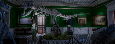 10974-whirlight-no-time-to-trip-gallery-3_1