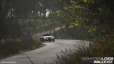 11060-sebastien-loeb-rally-evo-2