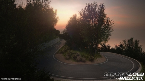 11060-sebastien-loeb-rally-evo-6