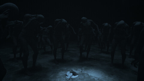 11130-visage-2