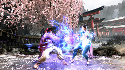 11134-street-fighter-6-years-1-2-fighters-edition-5