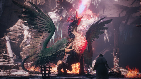11137-dragons-dogma-2-dark-arisen-expansion-gallery-3_1