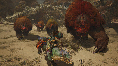 11194-monster-hunter-wilds-6