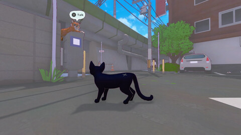 11297-little-kitty-big-city-11