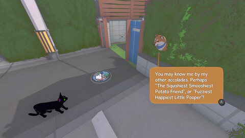 11297-little-kitty-big-city-6