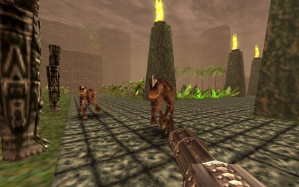 11309-turok-3
