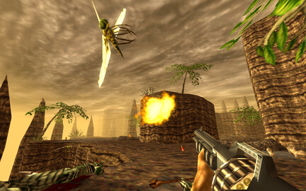11309-turok-4