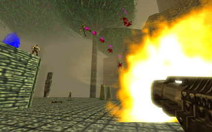11309-turok-7