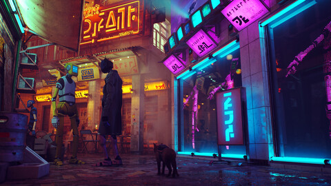 11356-stray-1