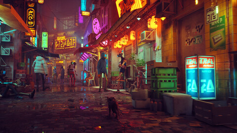 11356-stray-4