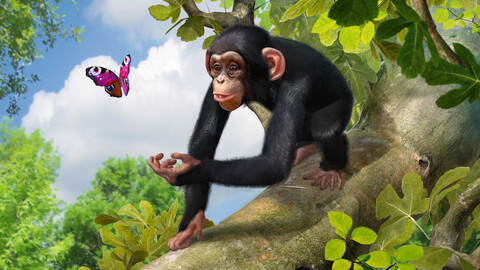 11403-zoo-tycoon-ultimate-animal-collection-3