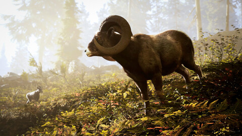 11444-hunting-simulator-3-gallery-2_1