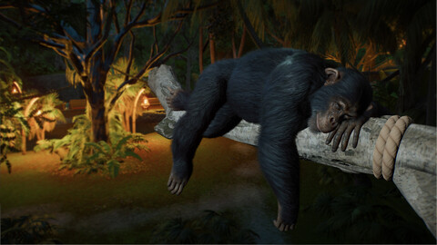 11448-planet-zoo-2-6