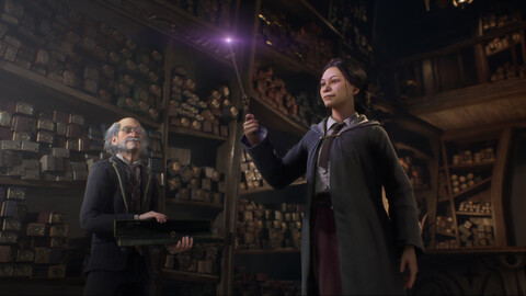11462-hogwarts-legacy-3