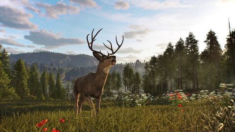 11466-way-of-the-hunter-2-1