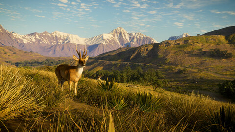 11486-thehunter-call-of-the-wild-peru-hunting-reserve-gallery-3_1