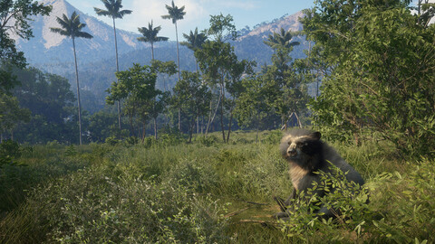 11486-thehunter-call-of-the-wild-peru-hunting-reserve-gallery-4_1